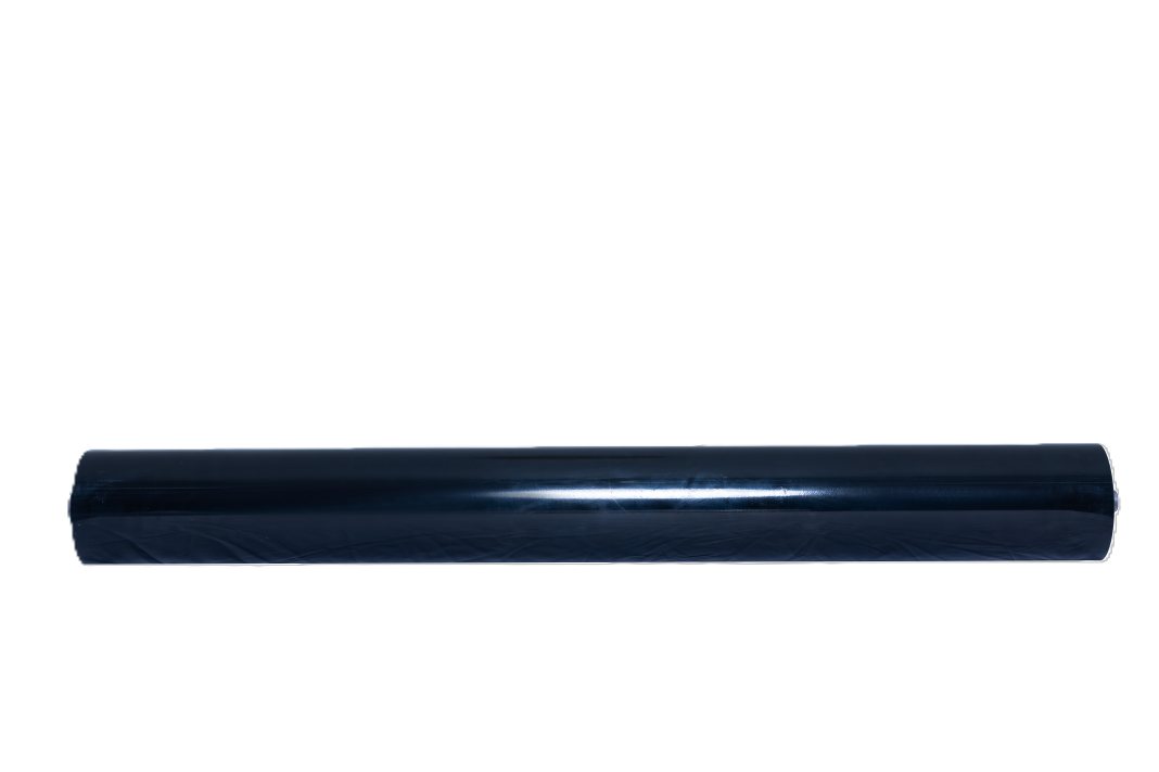 Paluutodistus